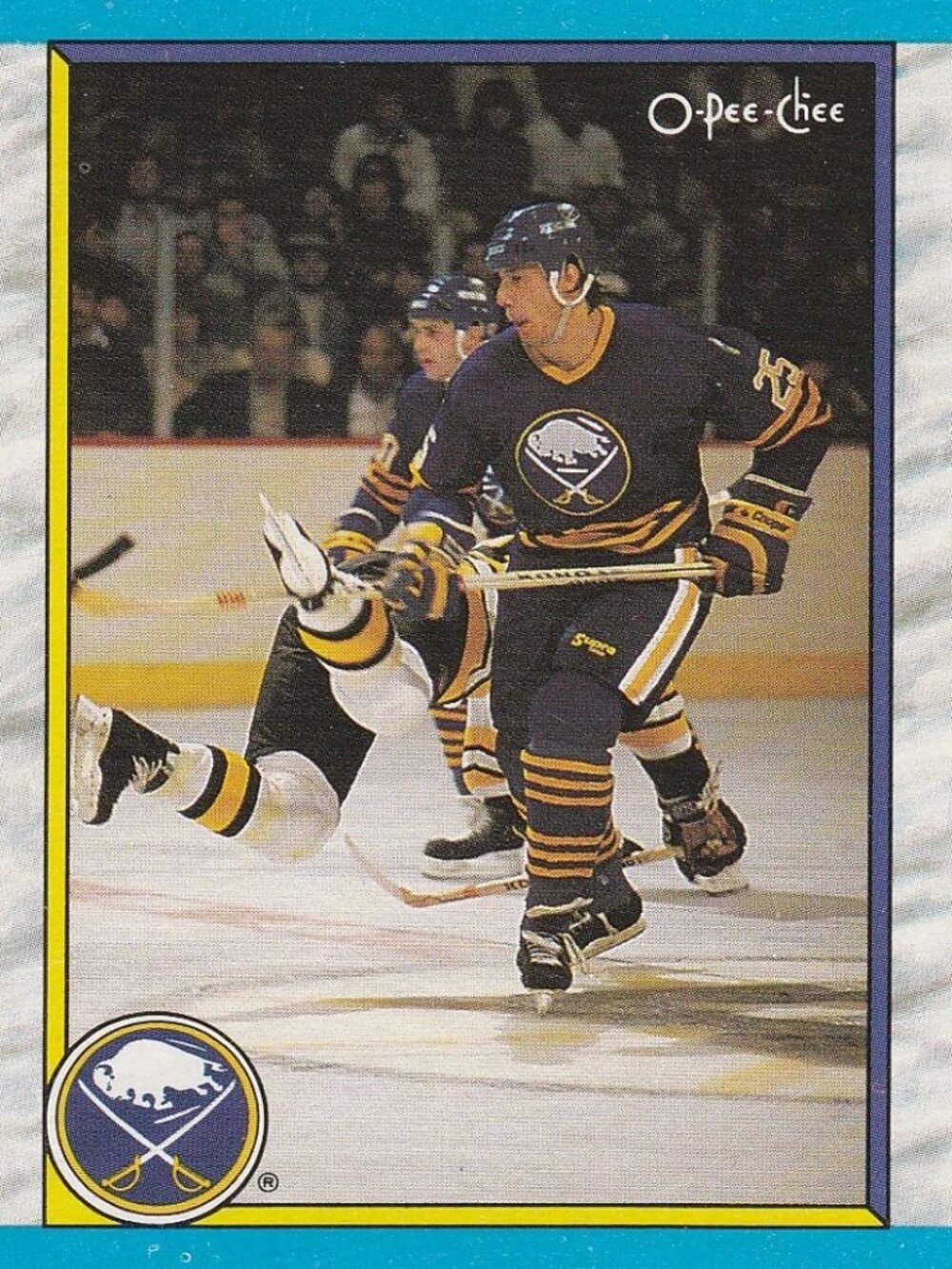 Buffalo Sabres Final Standings 1988-89